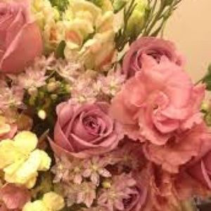 Meet your Posher, Maribel